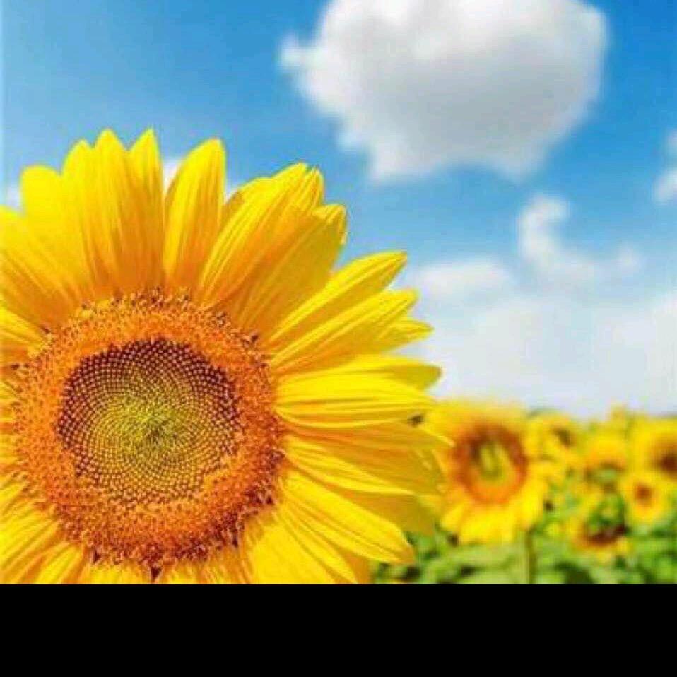 关注吧（拒绝私聊）