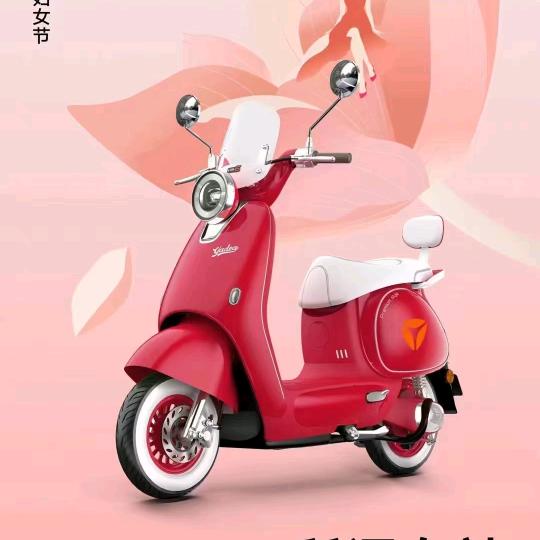 一起走过的日子《双龙镇雅迪电动车》