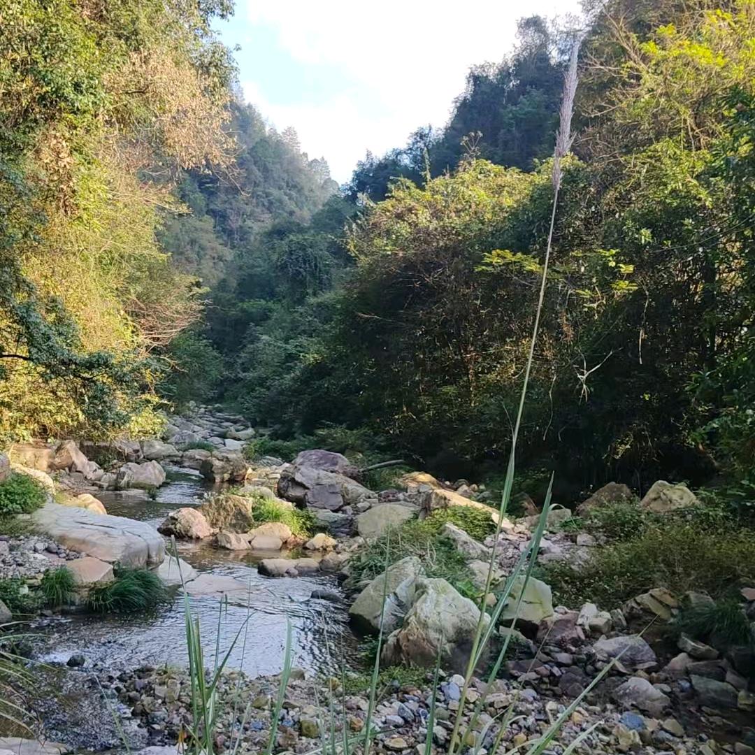 田小卫【碑坟围圈石源头】