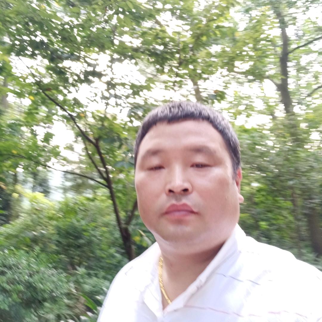 飞鹰🦅