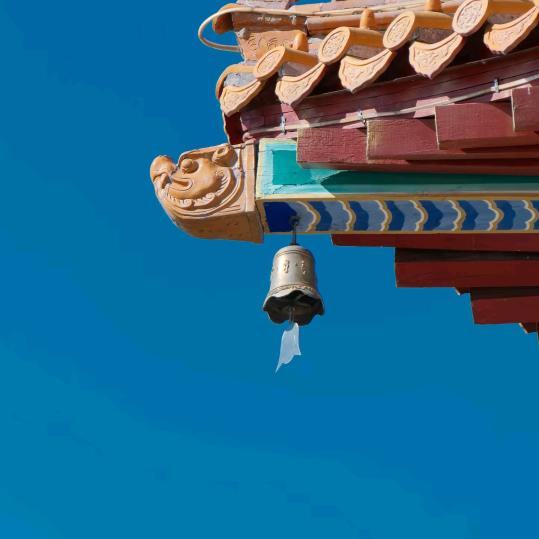 你雪姐姐