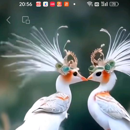 忧💕草