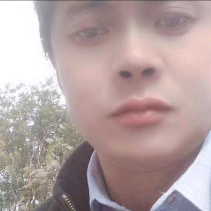 手心里的温柔，