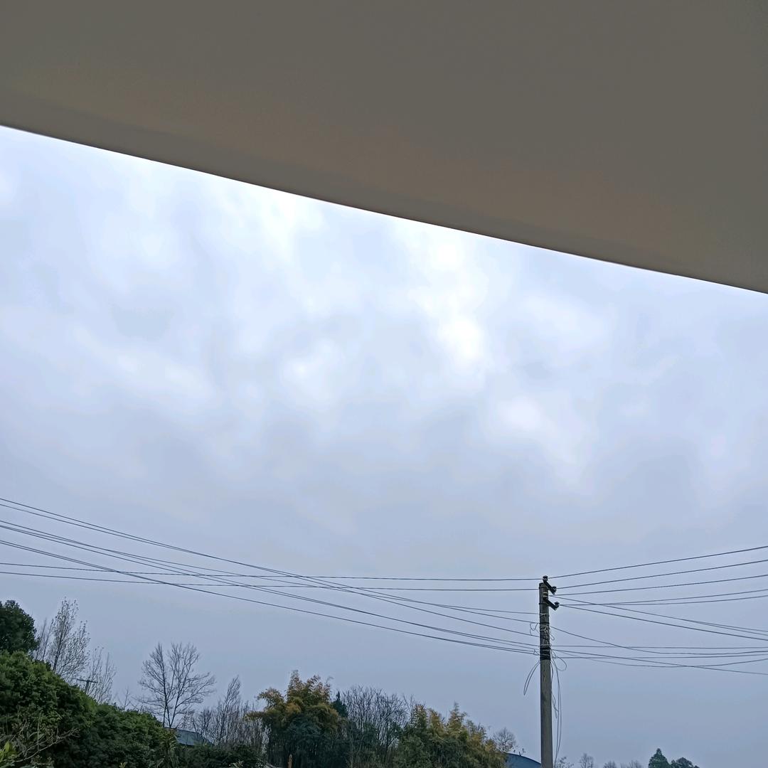 刘凤琼