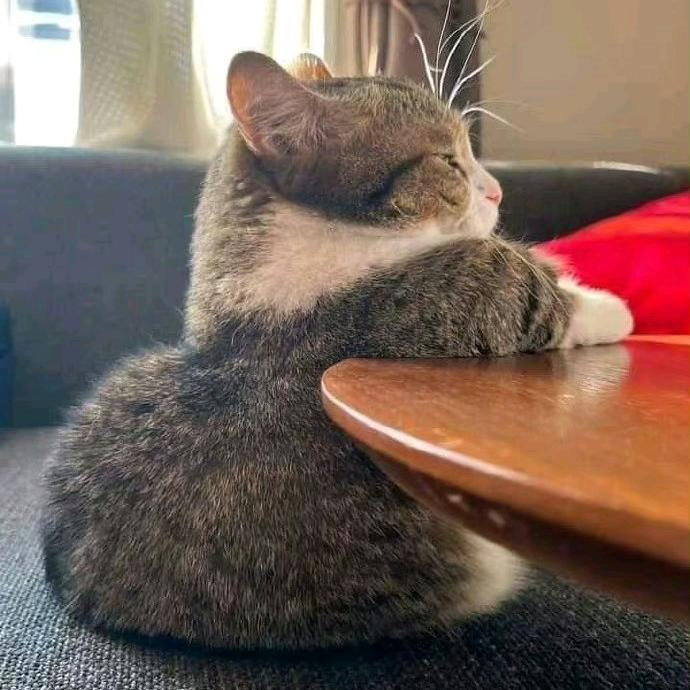 给点阳光就灿烂