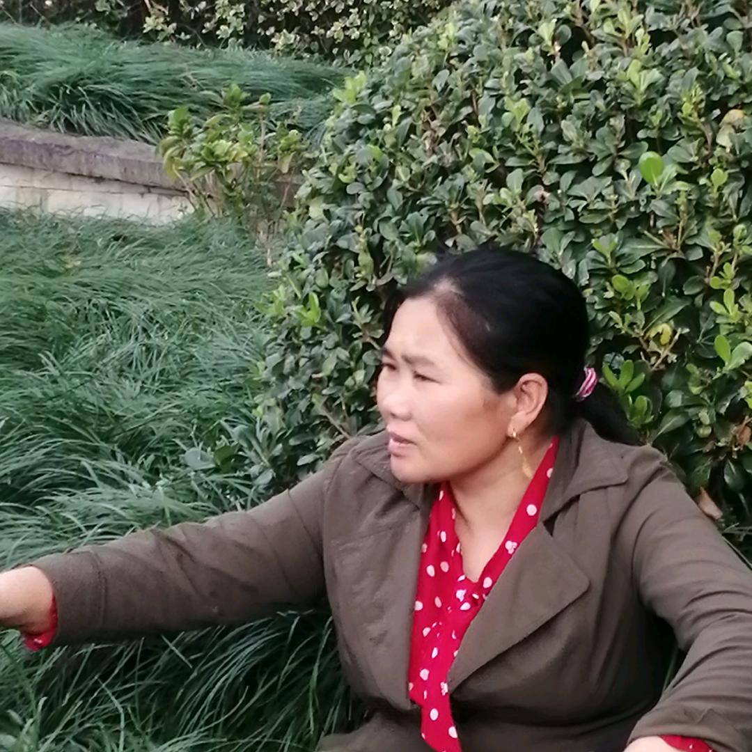 顺其自然。。。。。洪