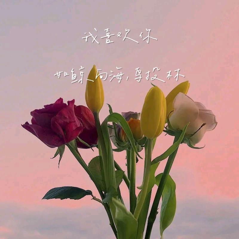 小浣熊♡