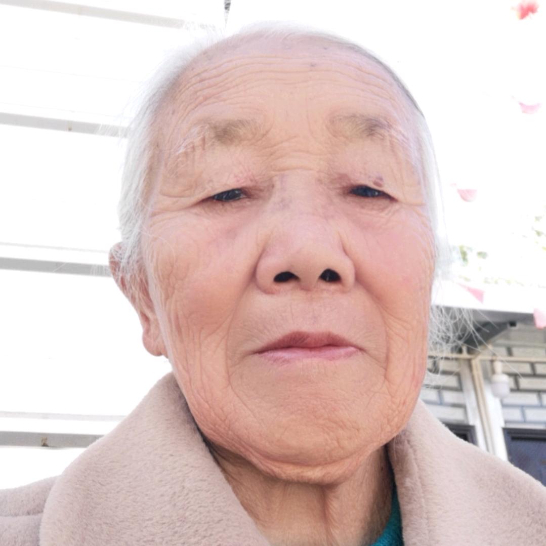 飞老太