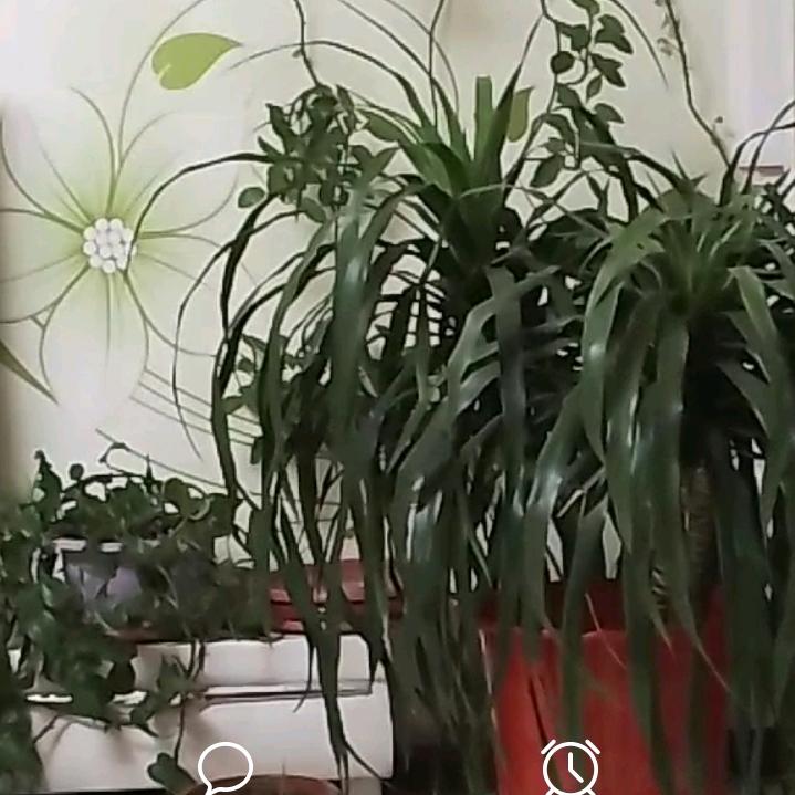 沉默是金！