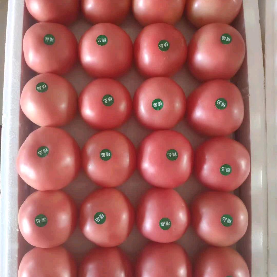 許：代销各地西红柿🍅
