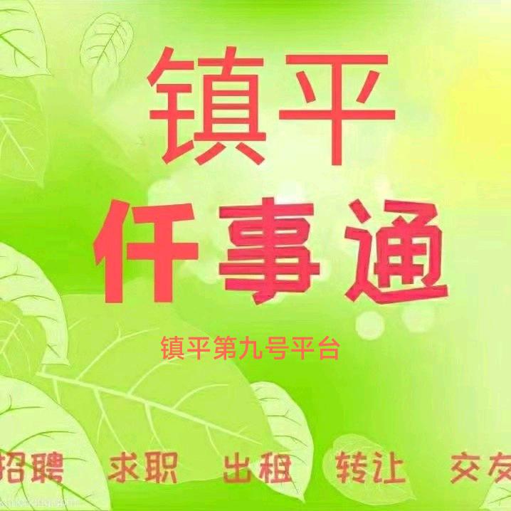 美丽镇平