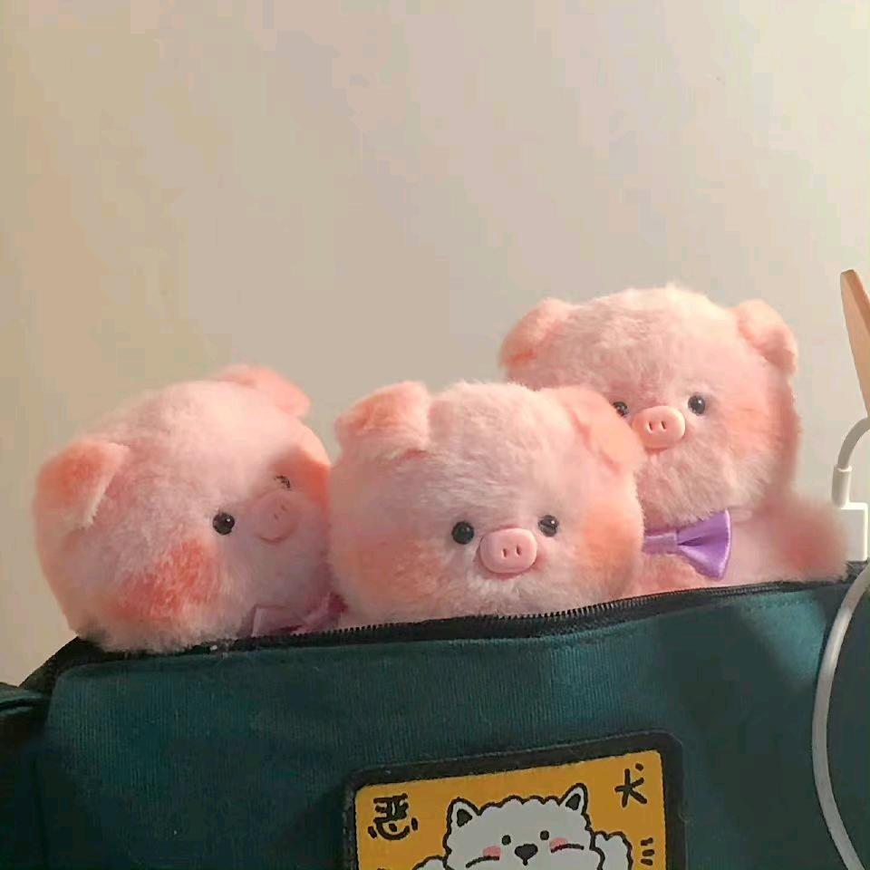 万福大肥