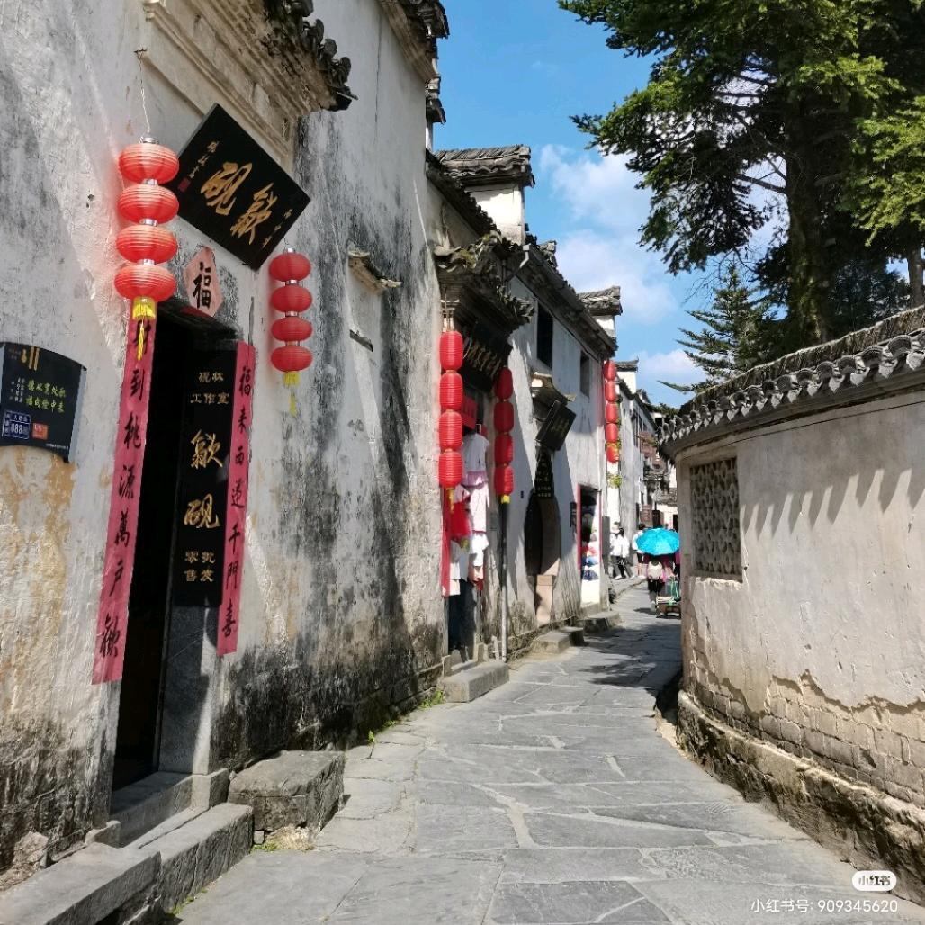 六个核蛋