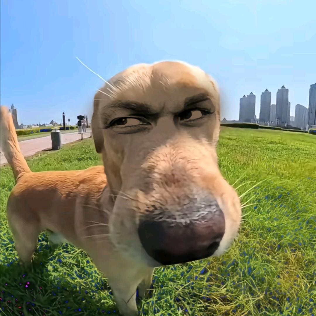 木薯🐮