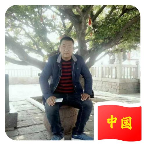 刘刘大顺