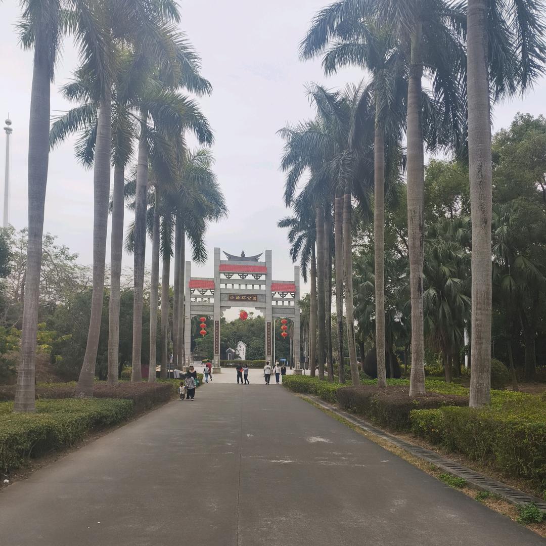 封心锁爱