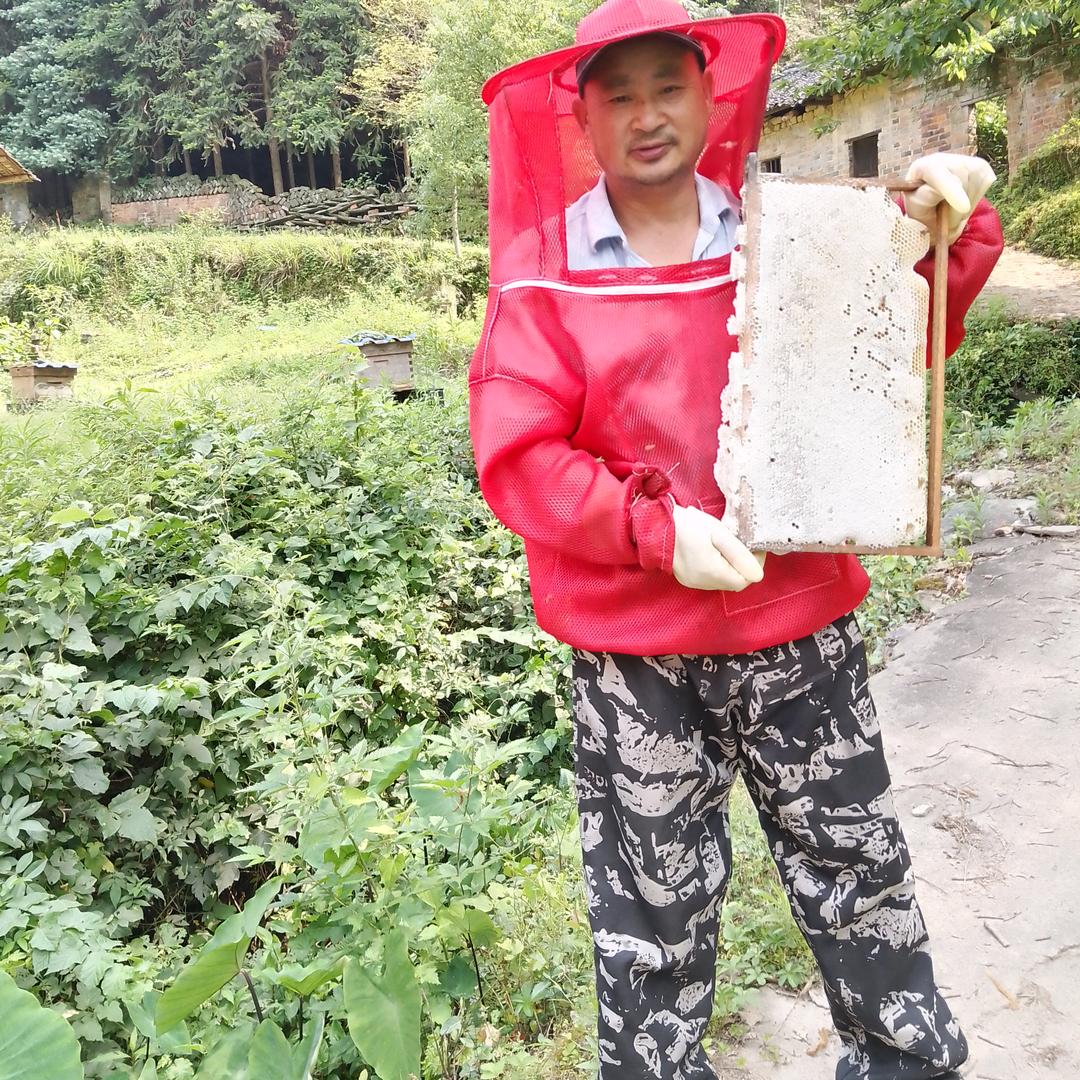 爱林土蜂蜜