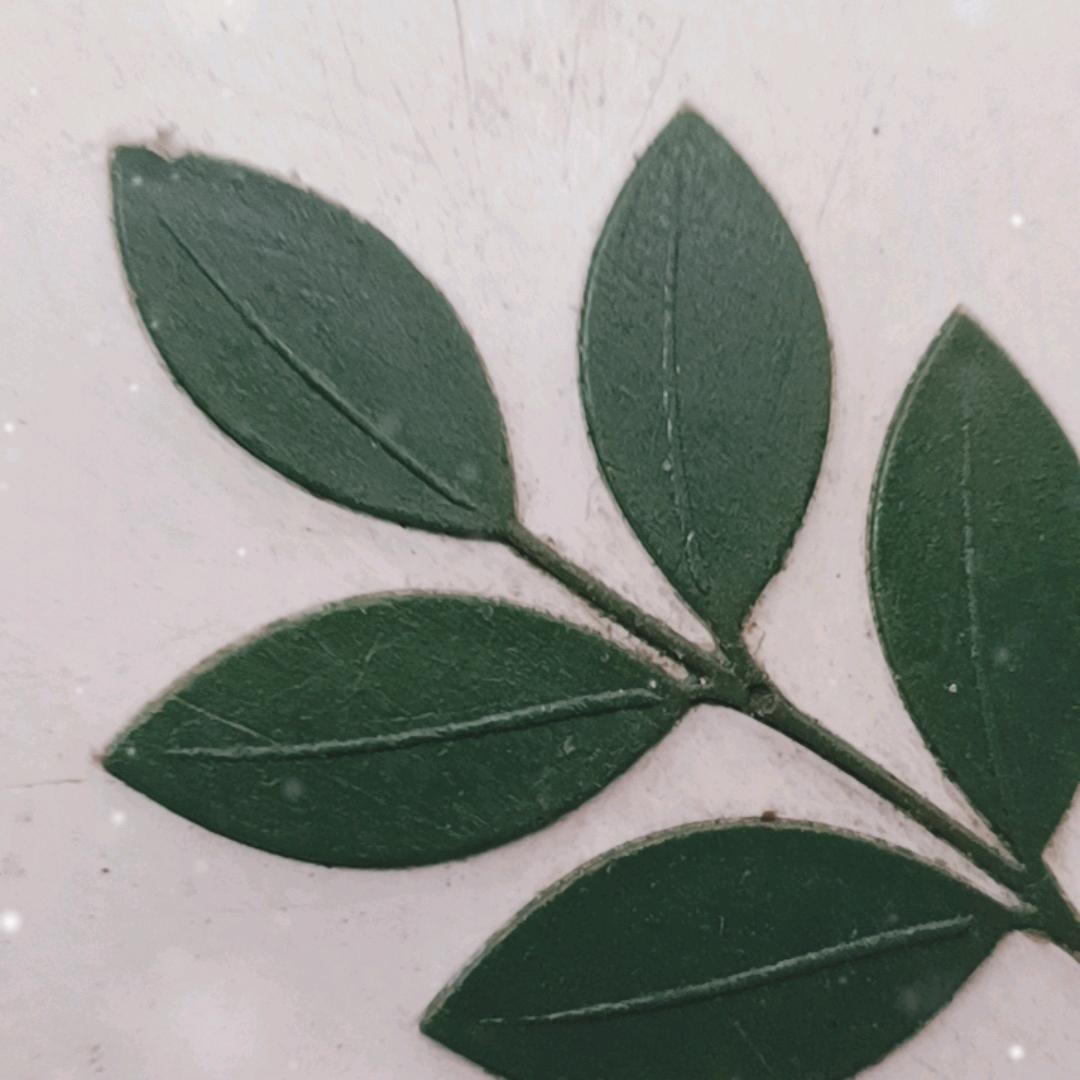 家和万事兴，大号不定时开播。