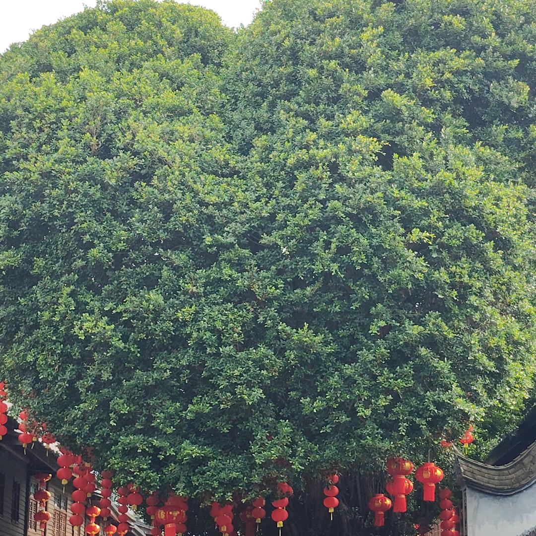 值得的拥有一切