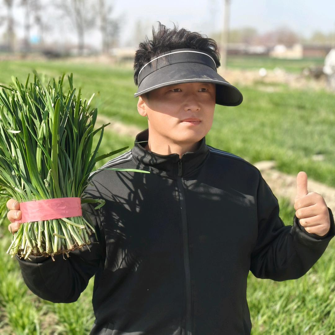 🌈鲁西韭菜小哥