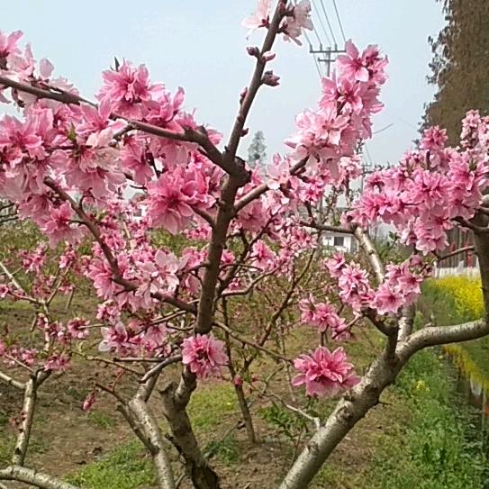 🌱春天🌱🏃🏃