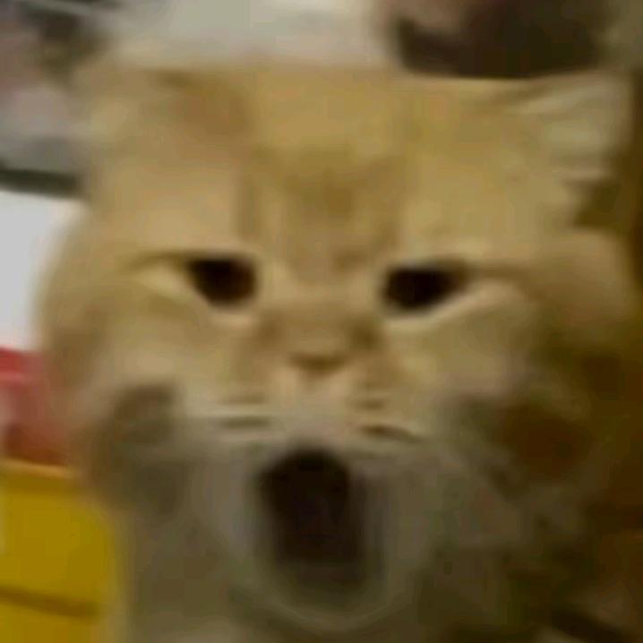 大反派
