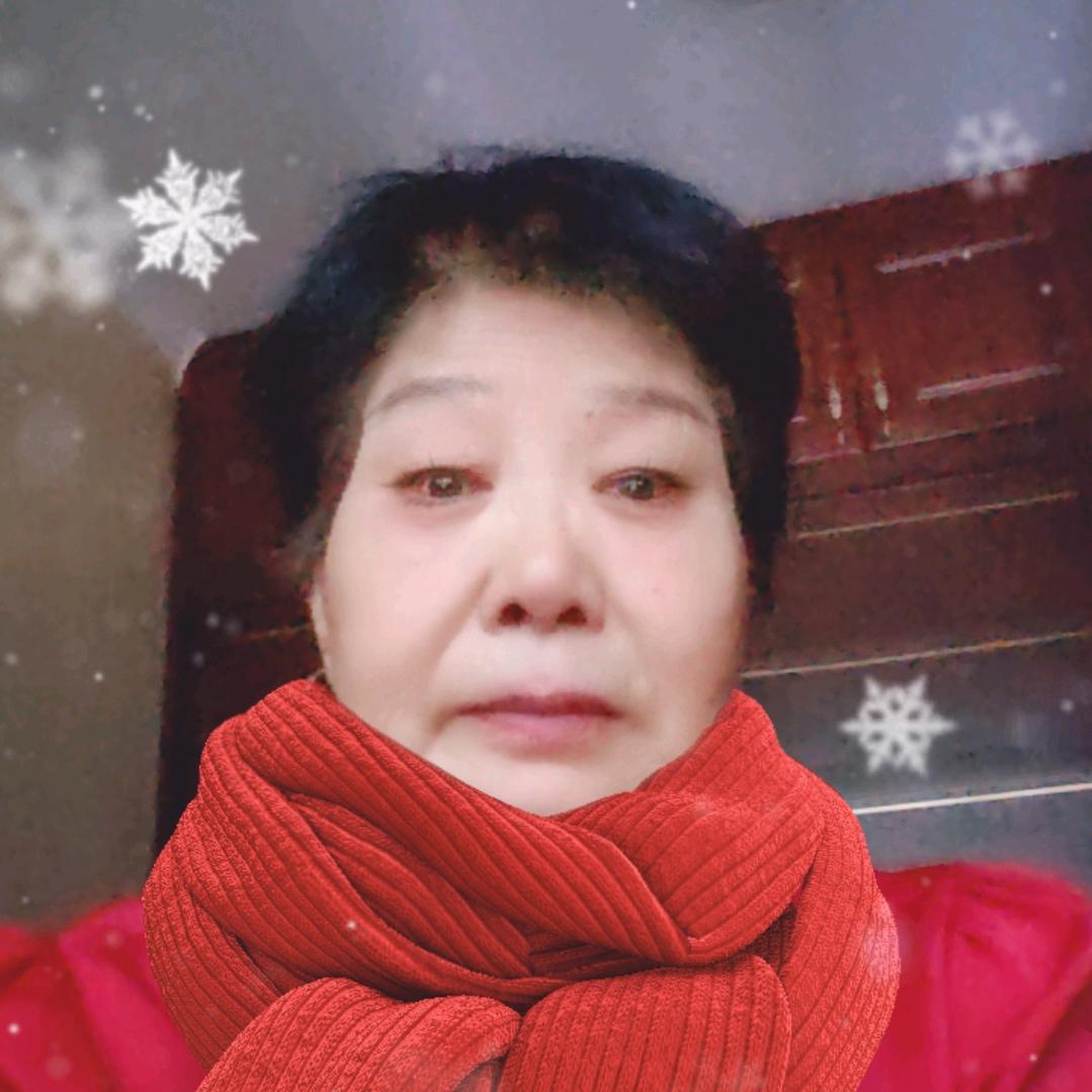 录琴