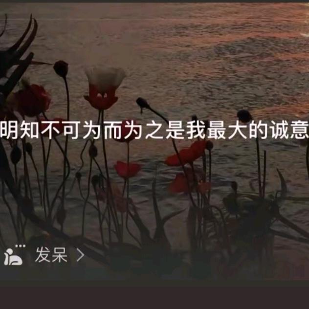 怡夏的夏