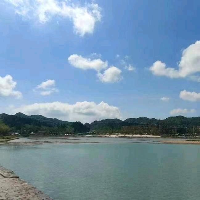 杨老师聊社保