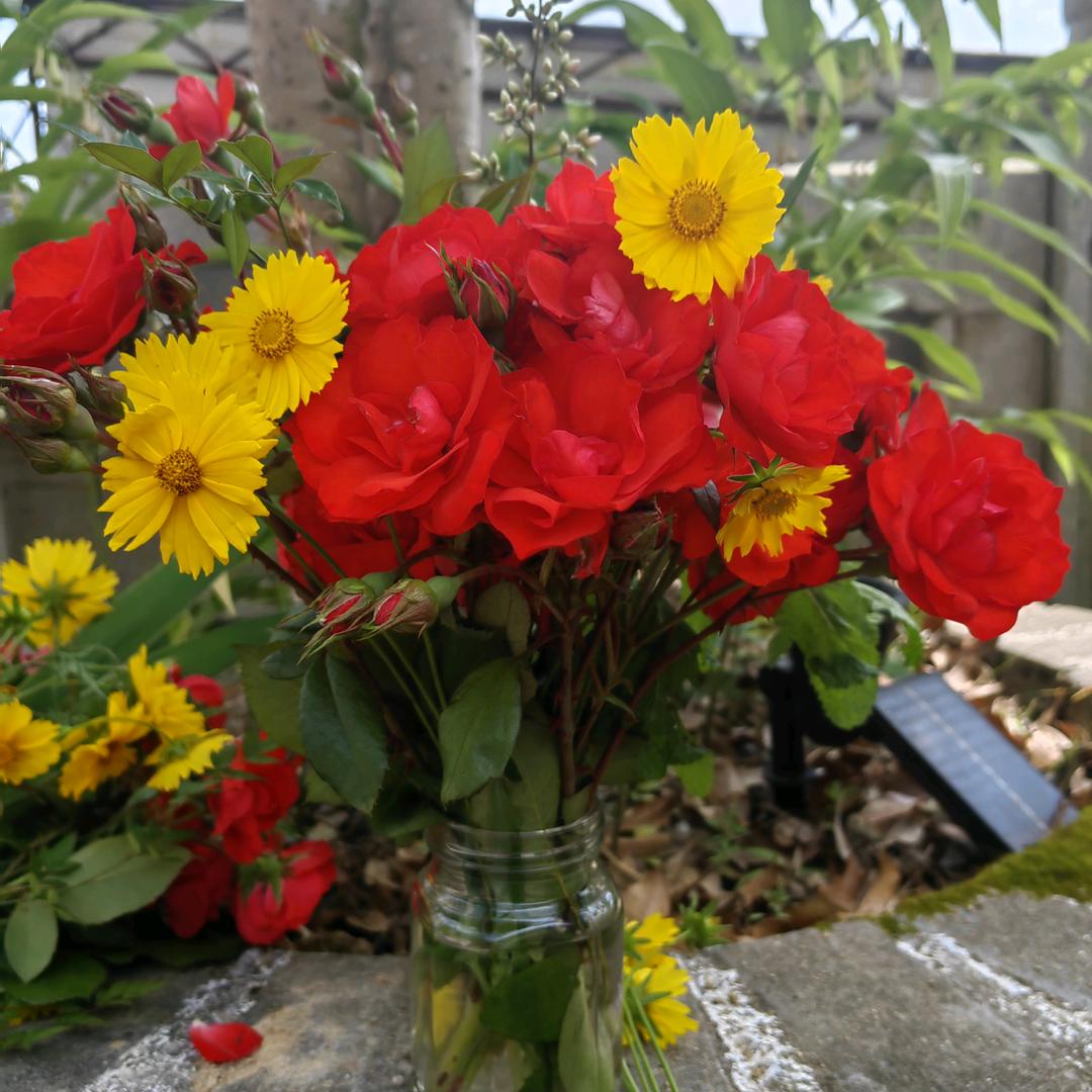 💰红运当头🔑🏆