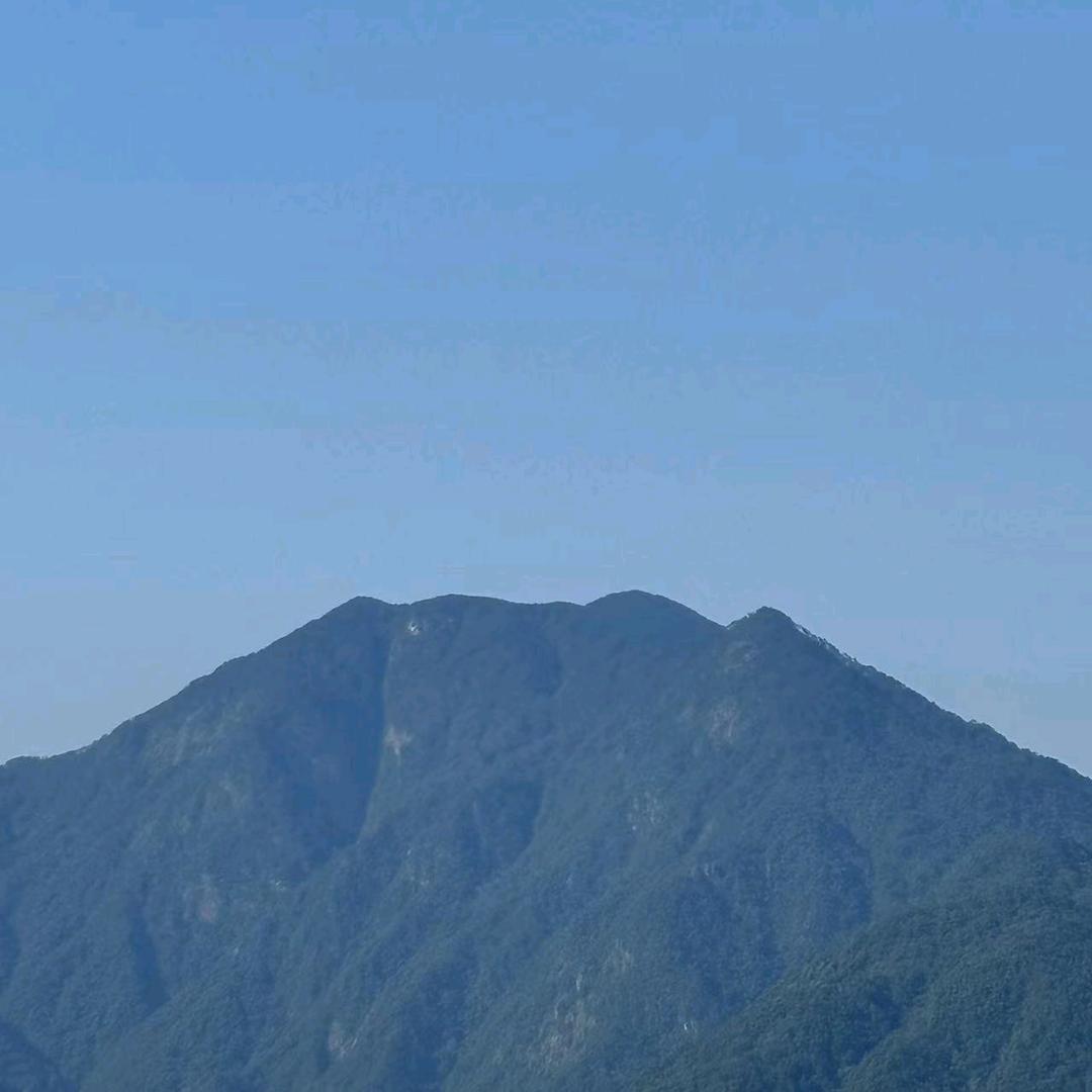 爱随风悸动