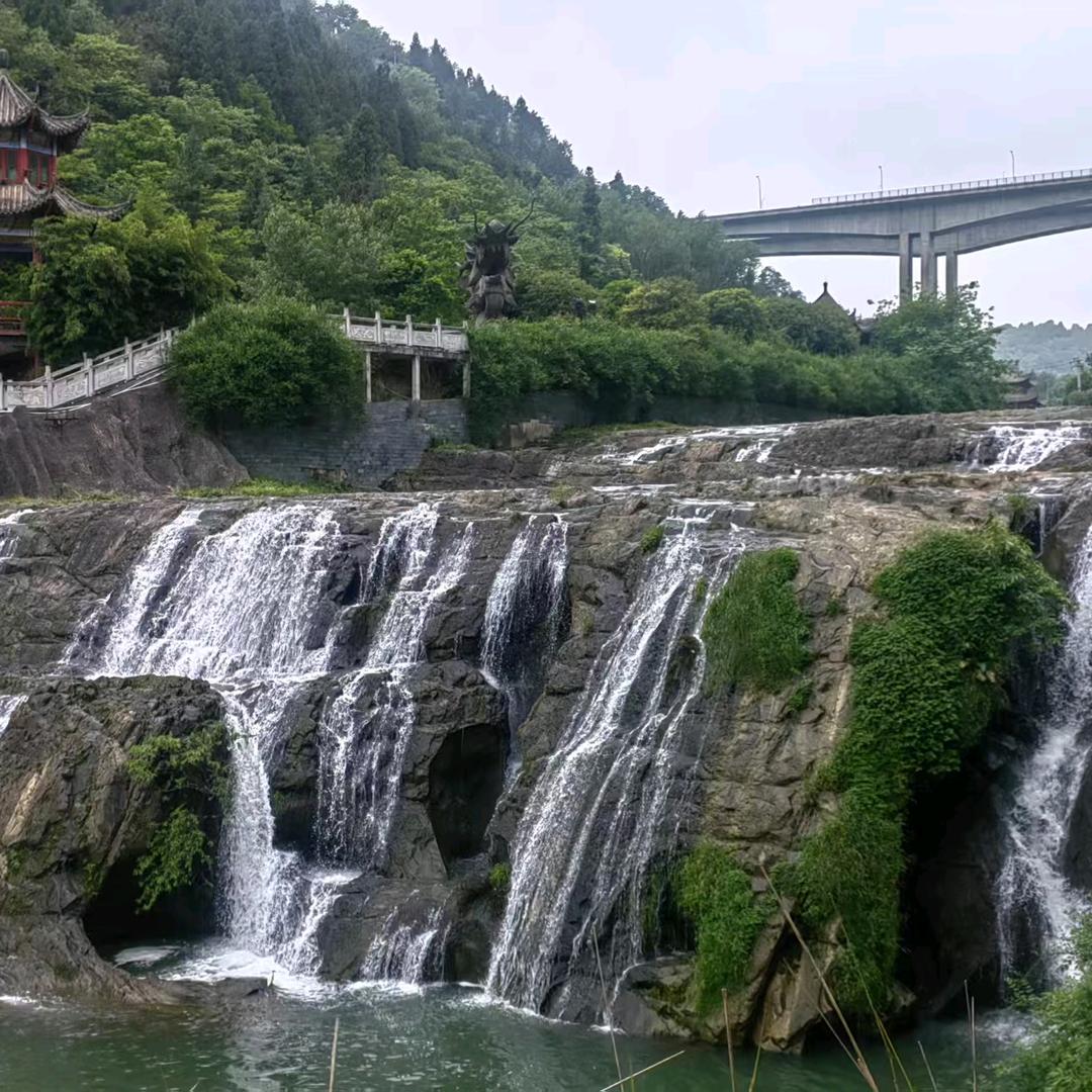 杨艳