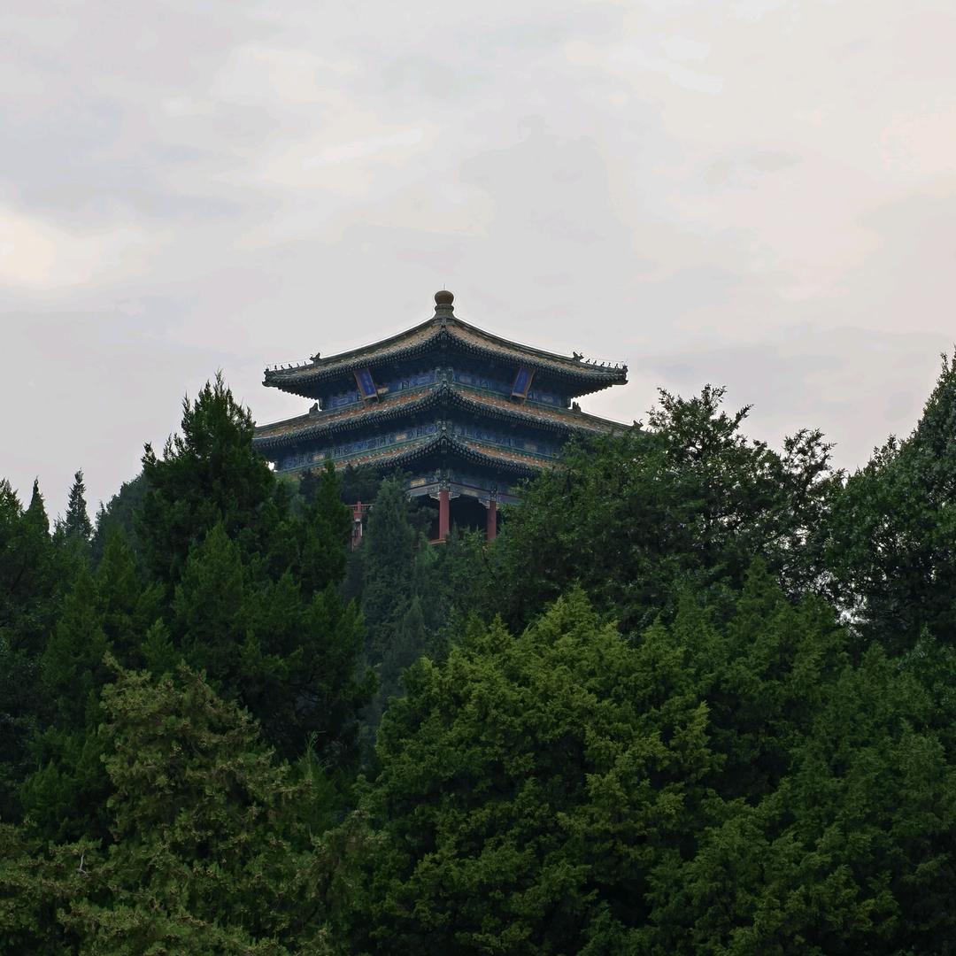 改修无情道