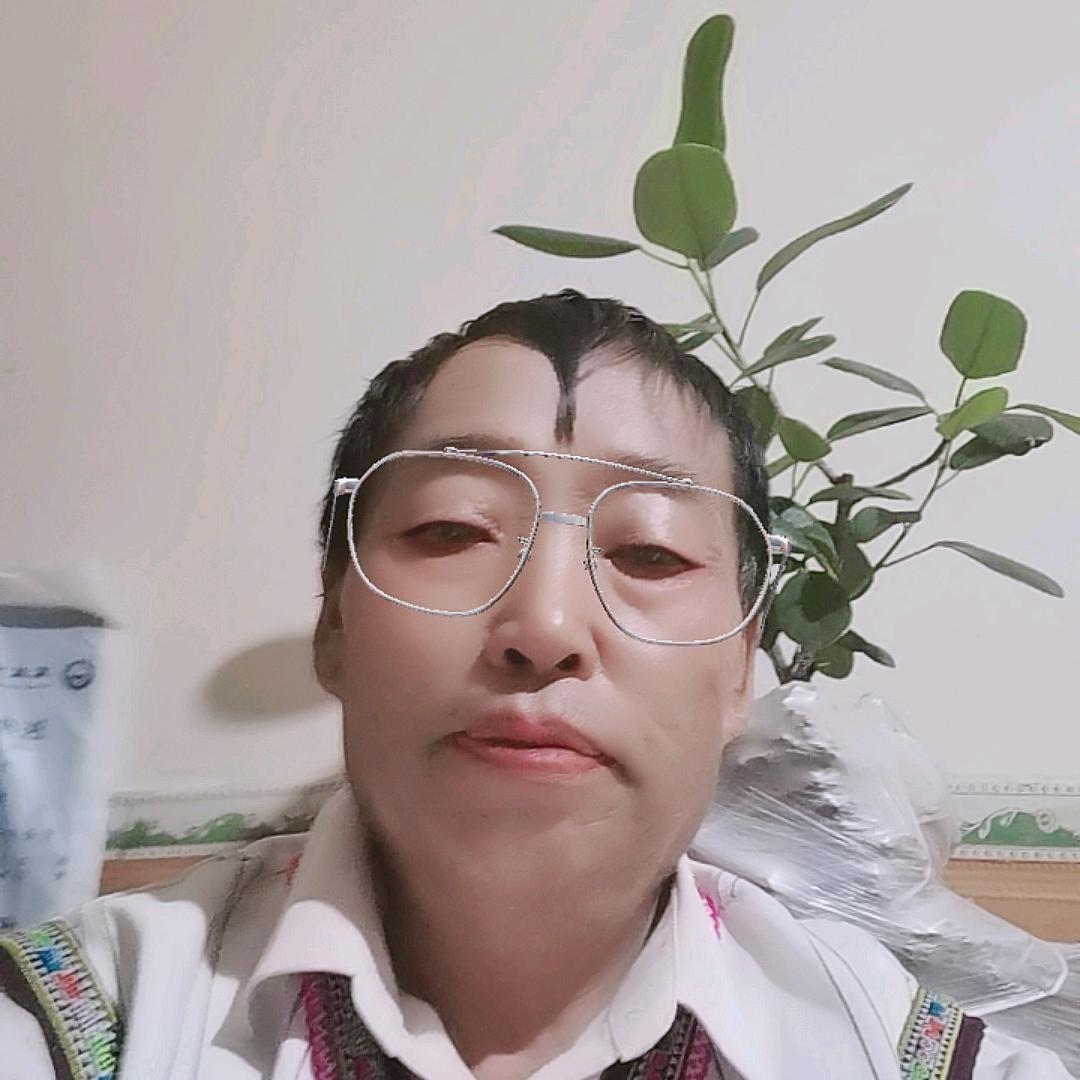 黑客老包犬舍