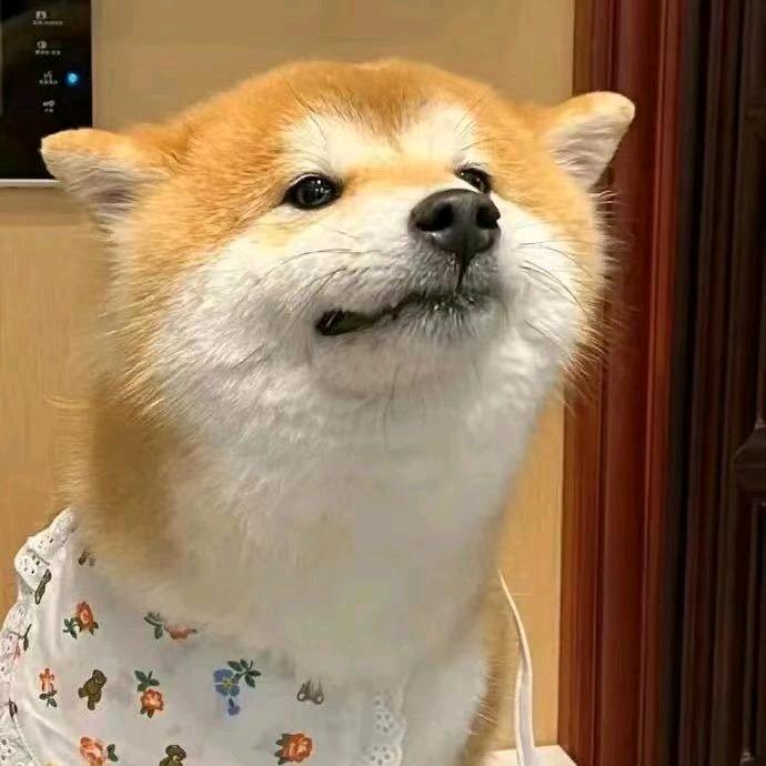 丘丘银