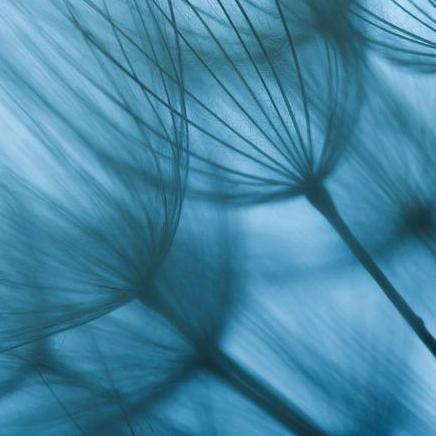 我现在马不停蹄