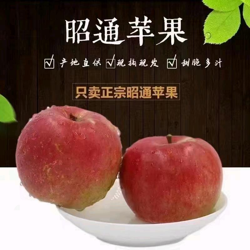 小叶臻选优质农产品