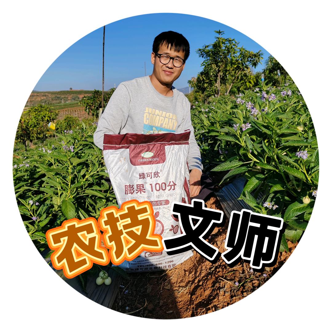农艺师文俊元--（元谋蔬菜公司）