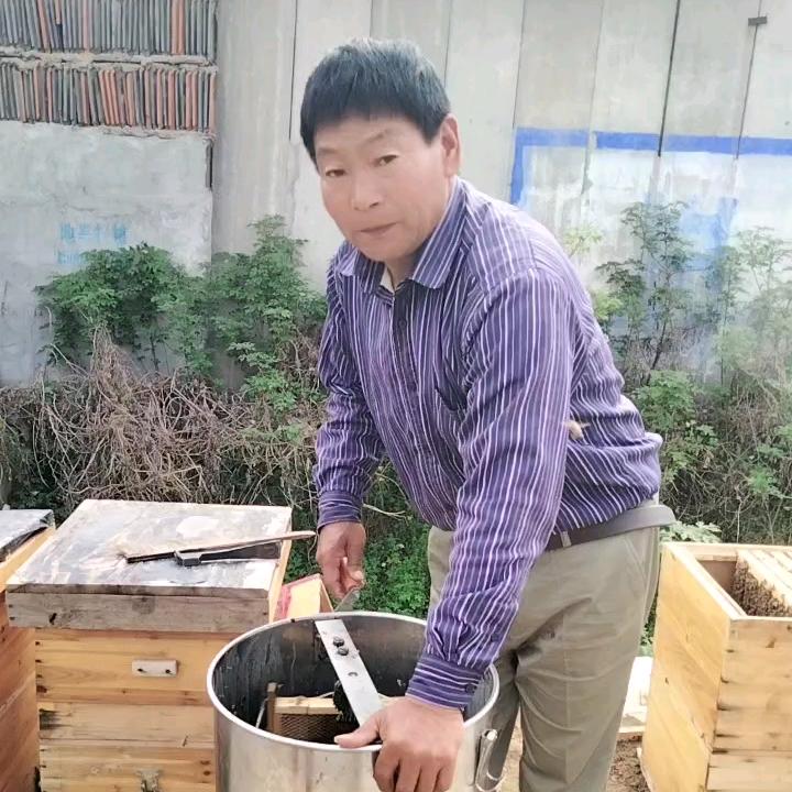 ，糊涂养蜂人老葛，商水县张明乡