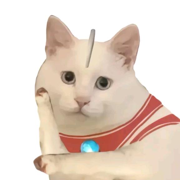 单单Dan