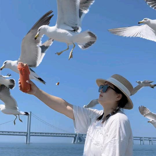 大喜旅记