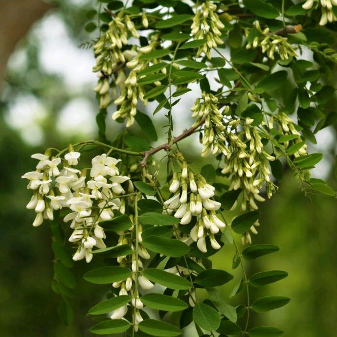 赵云的日常生活