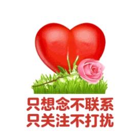 姐的❤你不懂