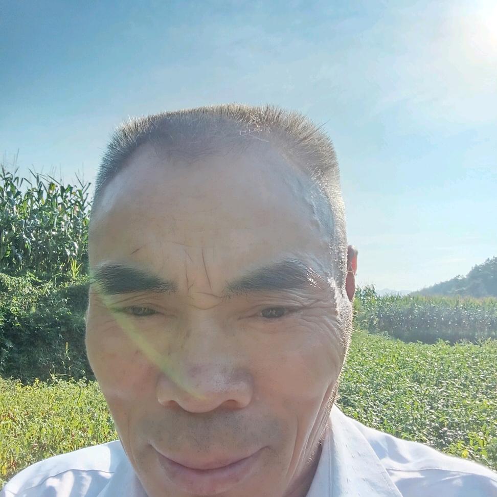 飘海洋✈️