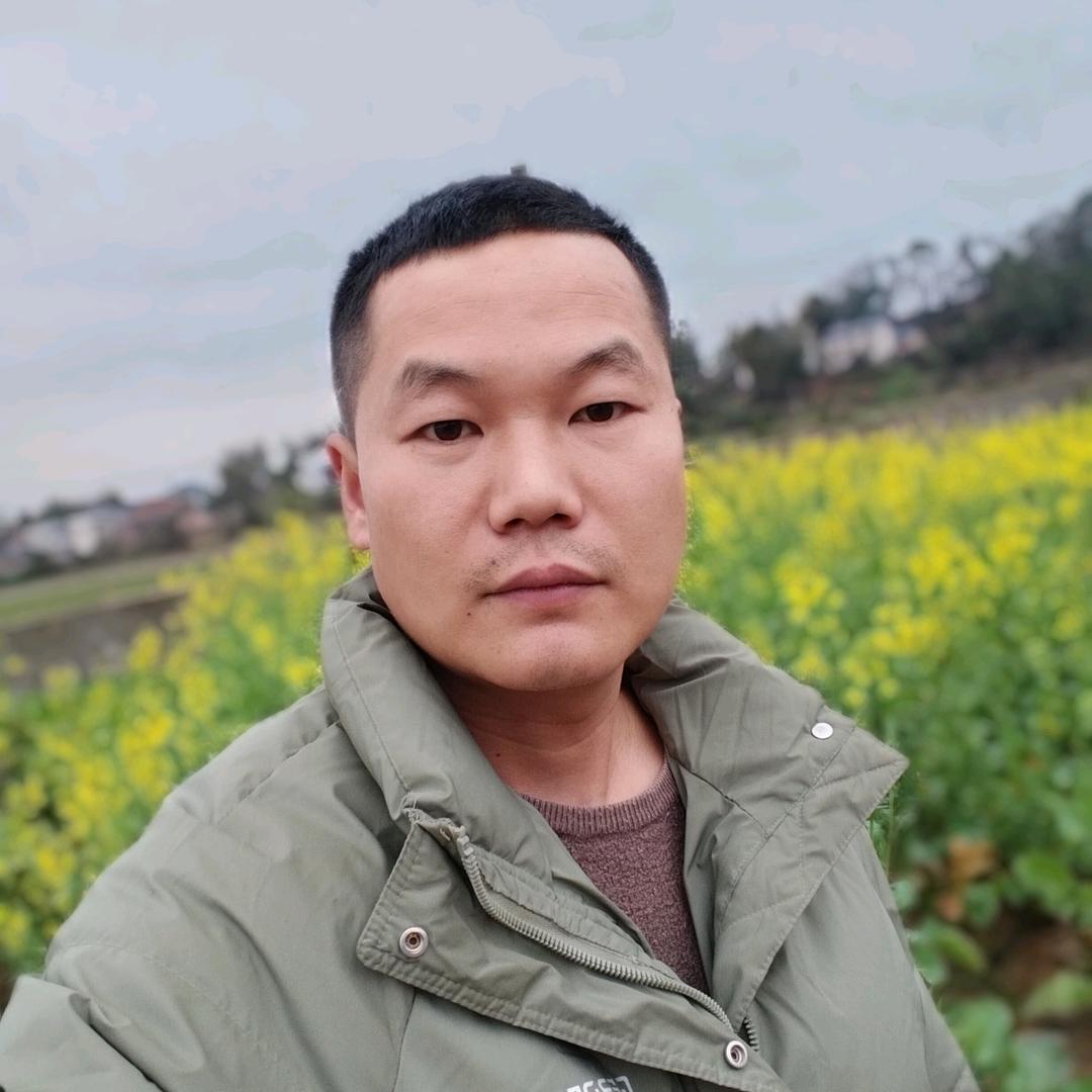 晓文哥