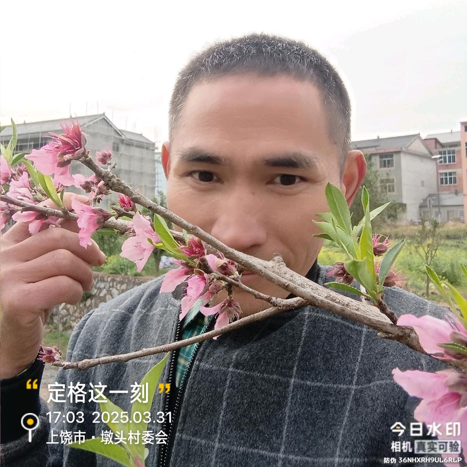 塞翁失马焉知非福