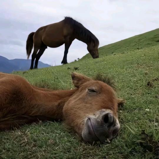 拾懿༉