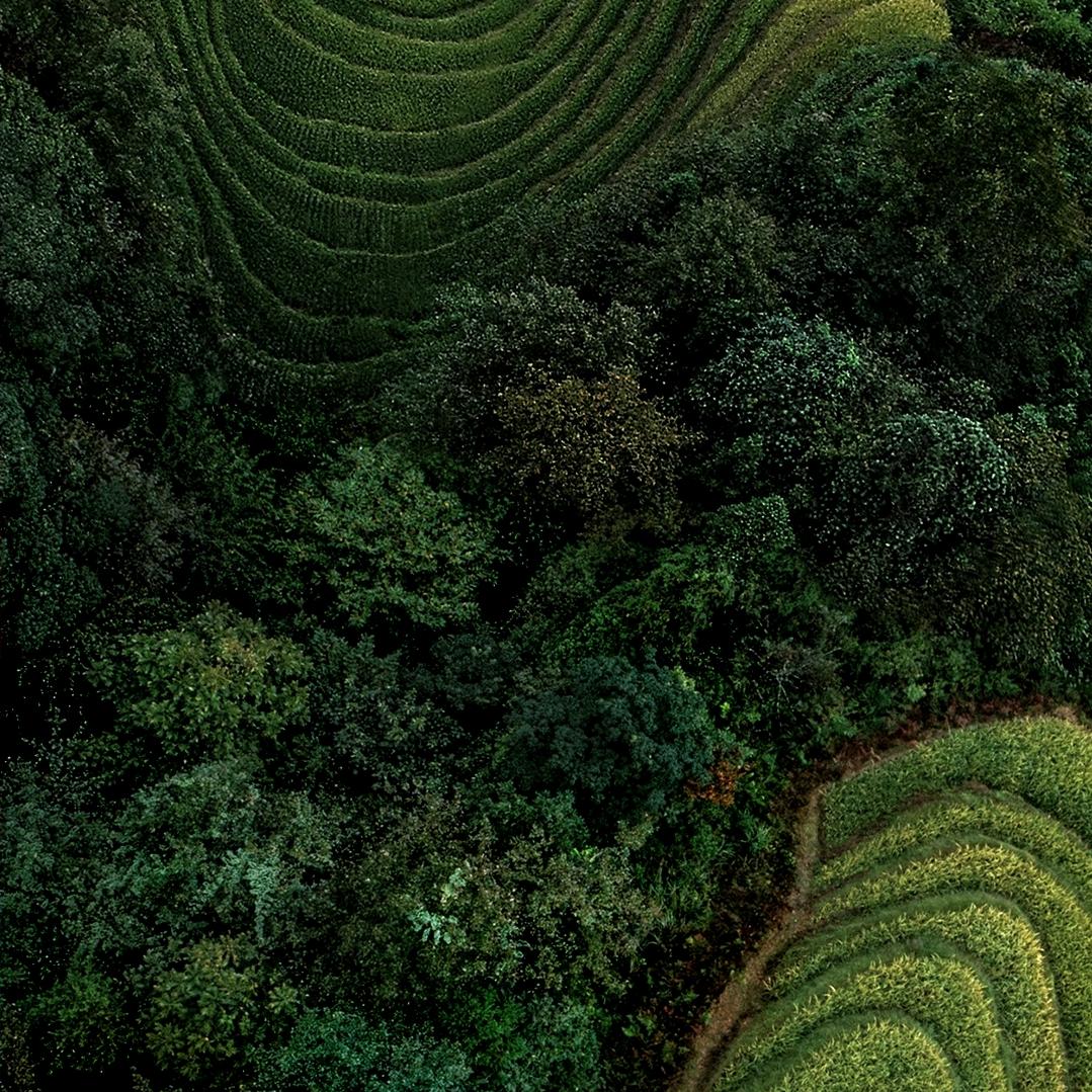 一个人的小饭店