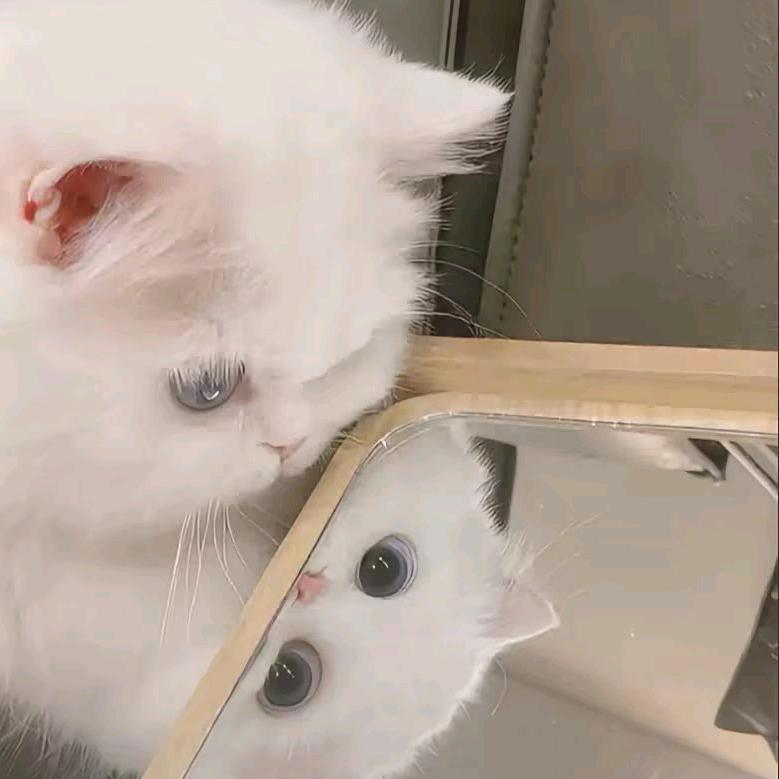 念念不开心