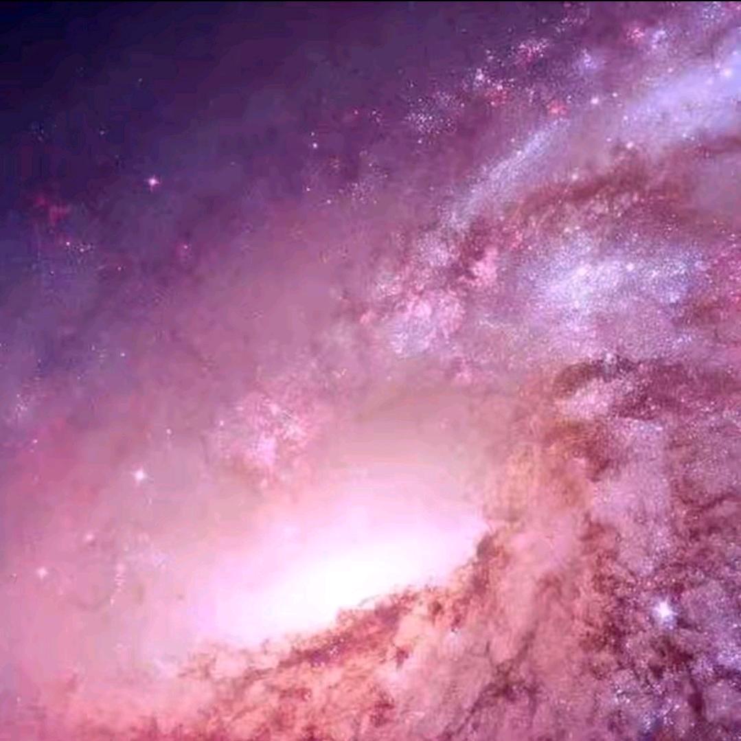 半仙是个小太阳